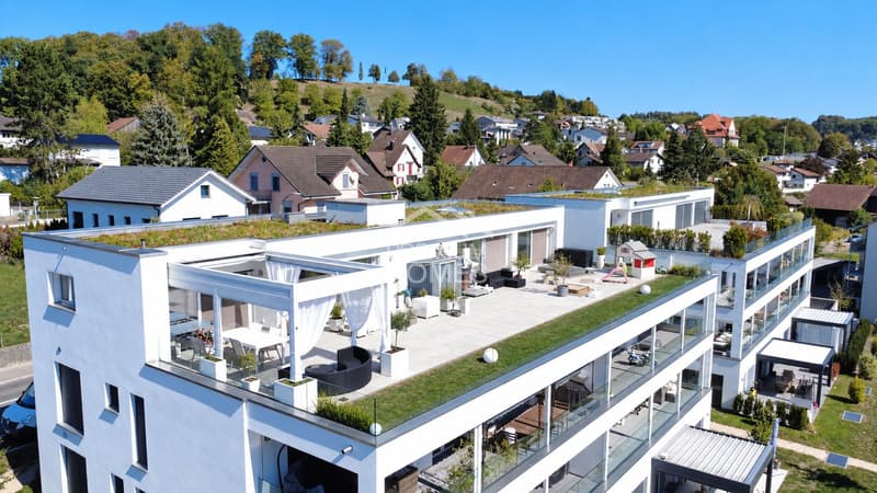 Exklusive Attika mit Feriengefühl & XXL-Terrasse (1)