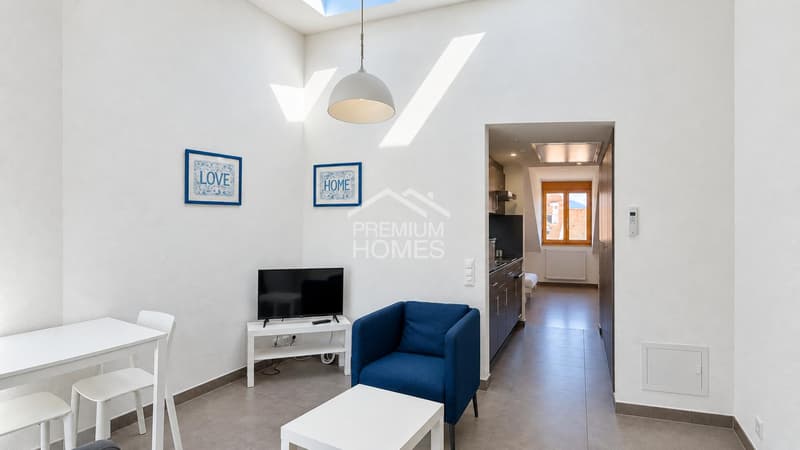 Immeuble de rendement avec 6 appartements et un commerce (2)