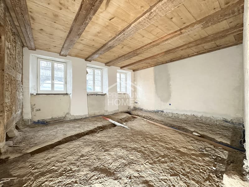 Geschmackvolles Mehrfamilienhaus mit 3 Wohneinheiten - BEWILLIGT! (2)