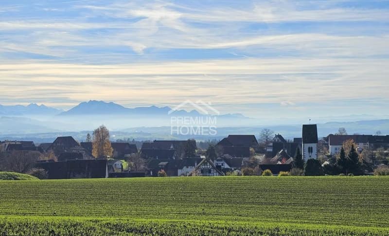 HIER BEGINNT IHR WOHNTRAUM IN RIFFERSWIL (12)