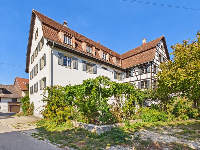 Naturidylle trifft Potenzial - ein Paradies für Familien und Handwerke (1)