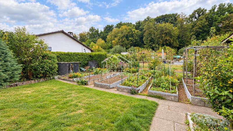 Charmantes Chalet für entspannte Ferien und Wochenenden (3)