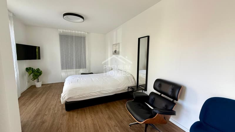 Möbliertes Studio zum vermieten! (3)