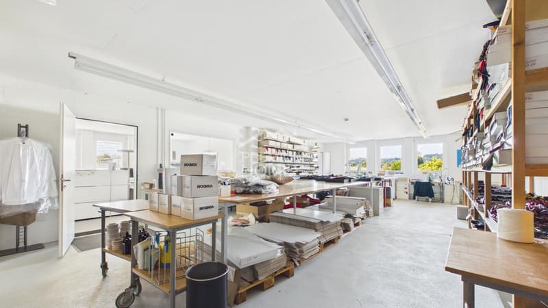 Viel Raum für Ihre Geschäftsidee - Büro, Showroom & Lager (6)