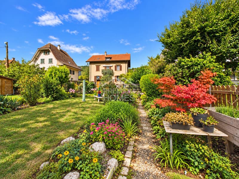 Familienglück mit Garten (9)