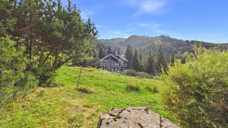 Einmalige Aussicht in ruhiger, naturnaher Lage (1)