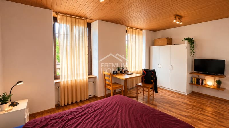 Renditestarkes MFH mit ca. 5.4 % Netto-Rendite (11)