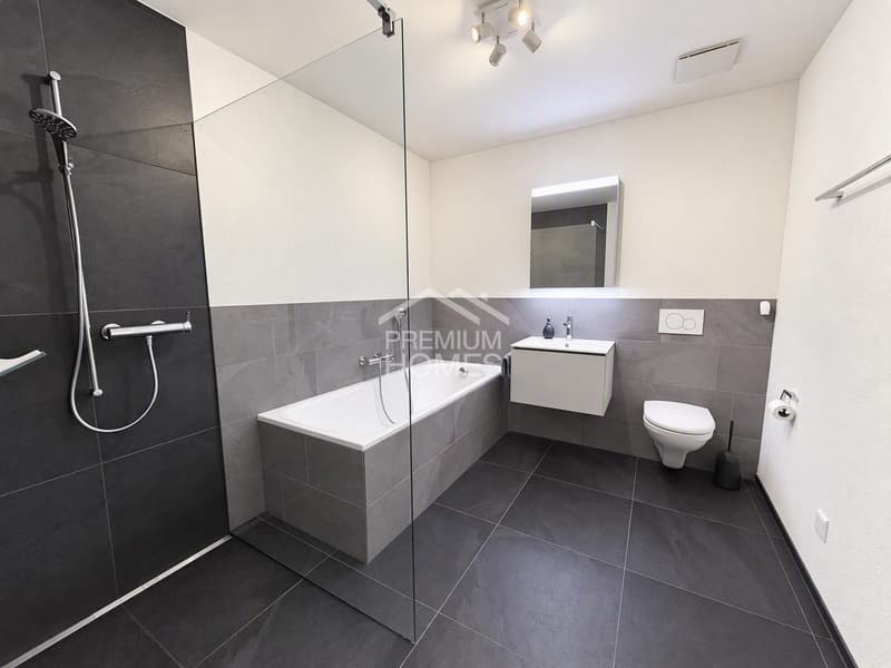 Traumwohnung mit sonniger Terrasse & 0,9% Hypothekarzins (4)