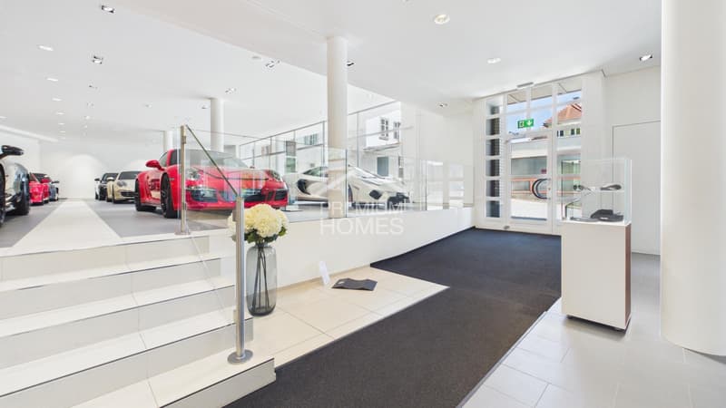 Autohaus Gewerbefläche mit Showroom oder Rendite (4)