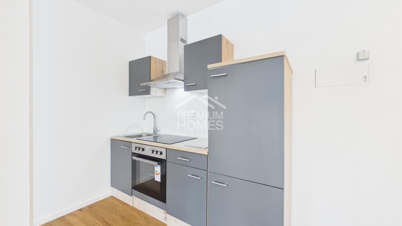 Klein, fein, voller Potenzial! Umnützung Gewerbe - Serviced Apartment (3)