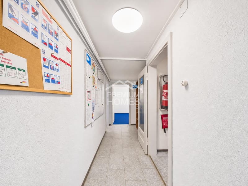 Ein Stück Goldau mit grosser Zukunft (10)