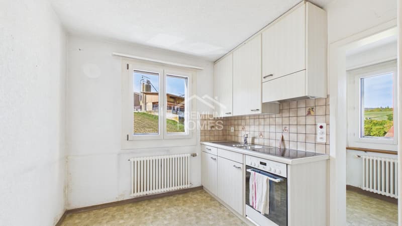 Ein Rohdiamant mit Weitblick! (5)