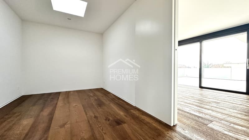 Luxuriöse 4.5 Zimmer-Attikawohnung (7)