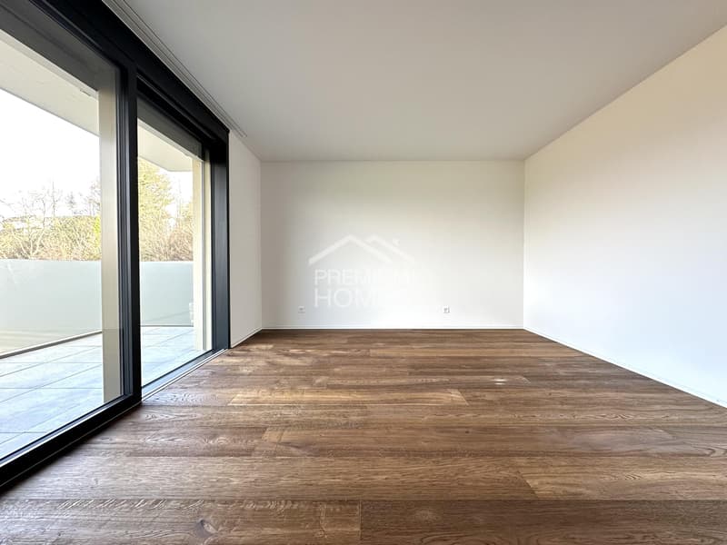 Luxuriöse 4.5 Zimmer-Attikawohnung (5)