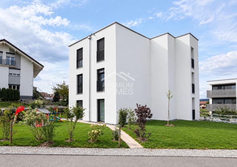 Modern Living - Stilvoll wohnen mit grosser Terrasse (9)