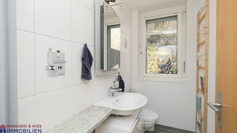 Maison unifamiliale avec oasis de verdure (13)
