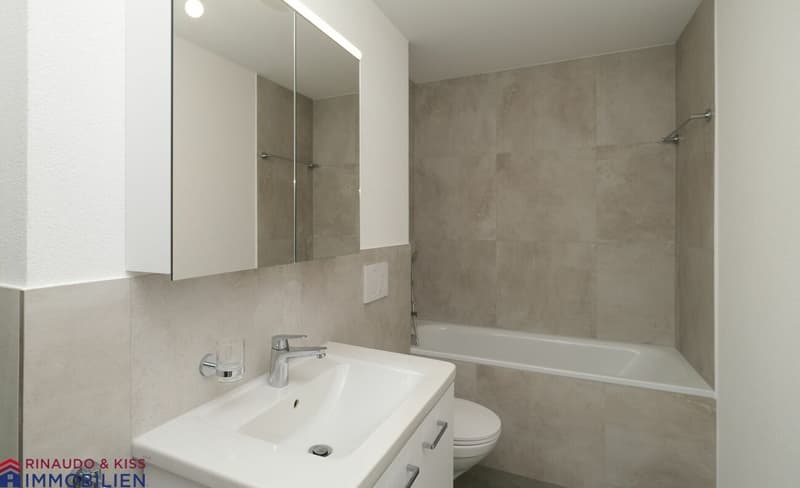 Ein Ort zum Entspannen und Geniessen-Grosse Dachmaisonettewohnung (9)