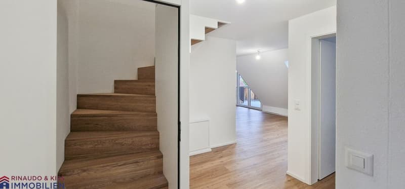 Ein Ort zum Entspannen und Geniessen-Grosse Dachmaisonettewohnung (5)
