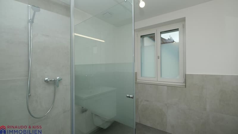 Ein Ort zum Entspannen und Geniessen-Grosse Dachmaisonettewohnung (10)