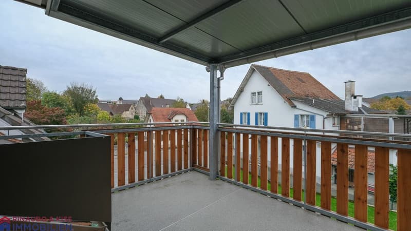 Ein Ort zum Entspannen und Geniessen-Grosse Dachmaisonettewohnung (6)