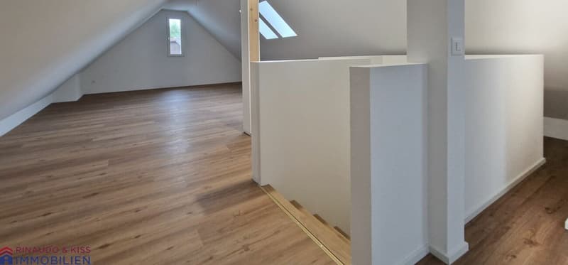 Ein Ort zum Entspannen und Geniessen-Grosse Dachmaisonettewohnung (11)