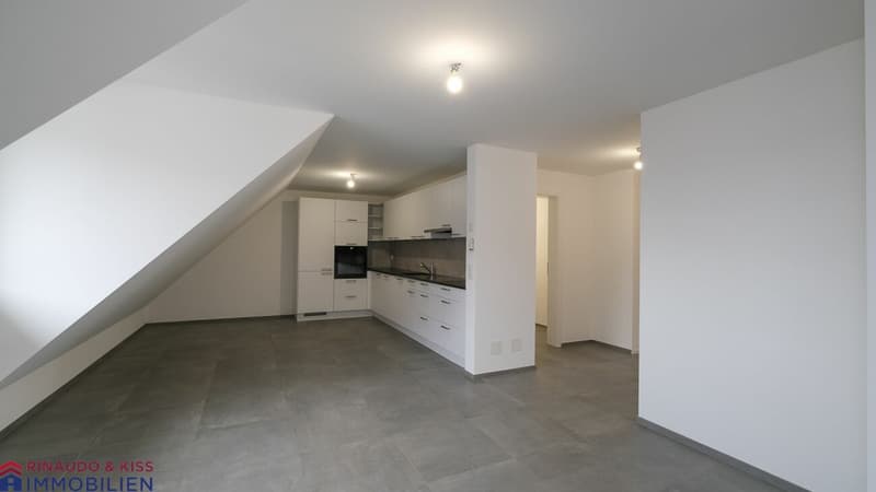 Ein Ort zum Entspannen und Geniessen-Grosse Dachmaisonettewohnung (2)
