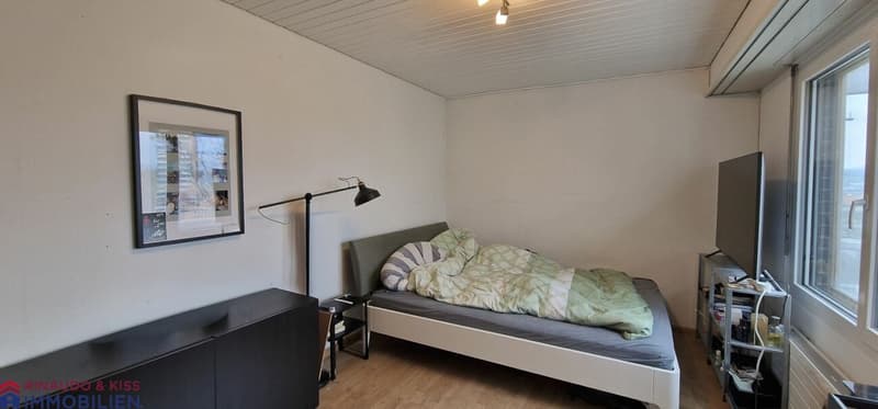 Attikawohnung mit Panoramasicht (8)