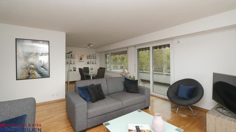 Attikawohnung mit Panoramasicht (4)
