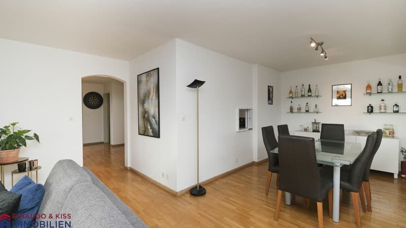 Attikawohnung mit Panoramasicht (3)