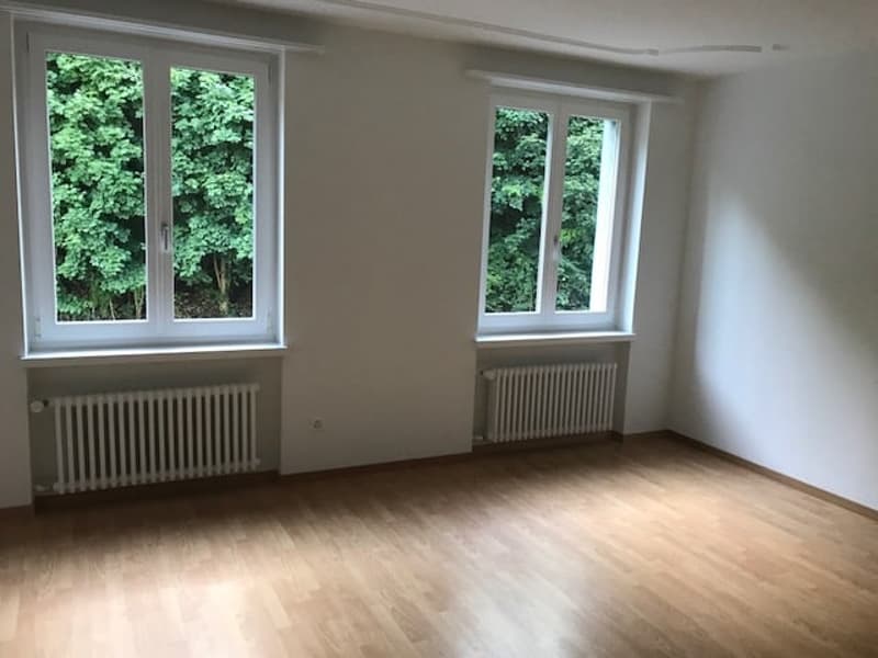 Grosszügige 4 - Zimmerwohung nahe Bahnhof Olten - ideal geeignet für Pendler! (5)