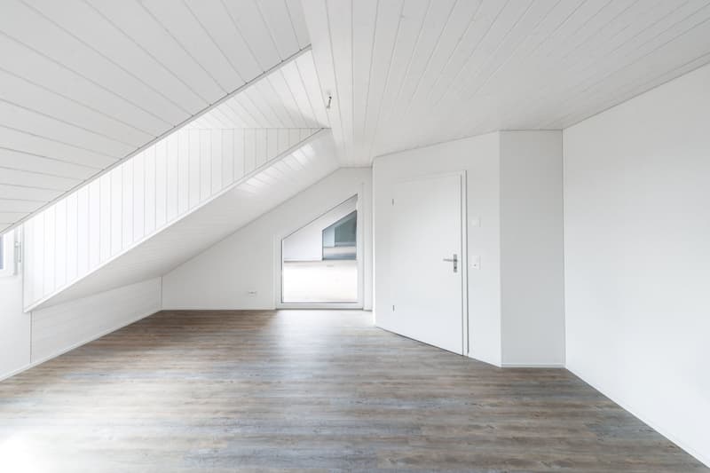 Grosszügige Dachwohnung mit Terrasse (3)