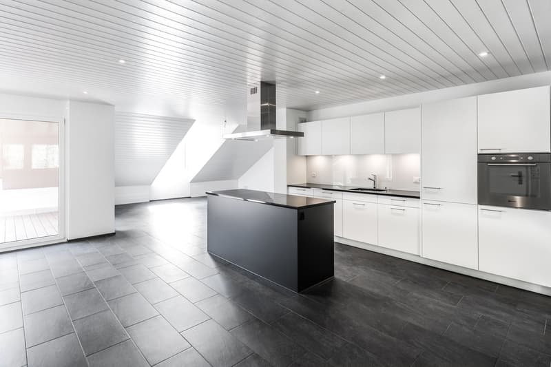 Grosszügige Dachwohnung mit Terrasse (2)