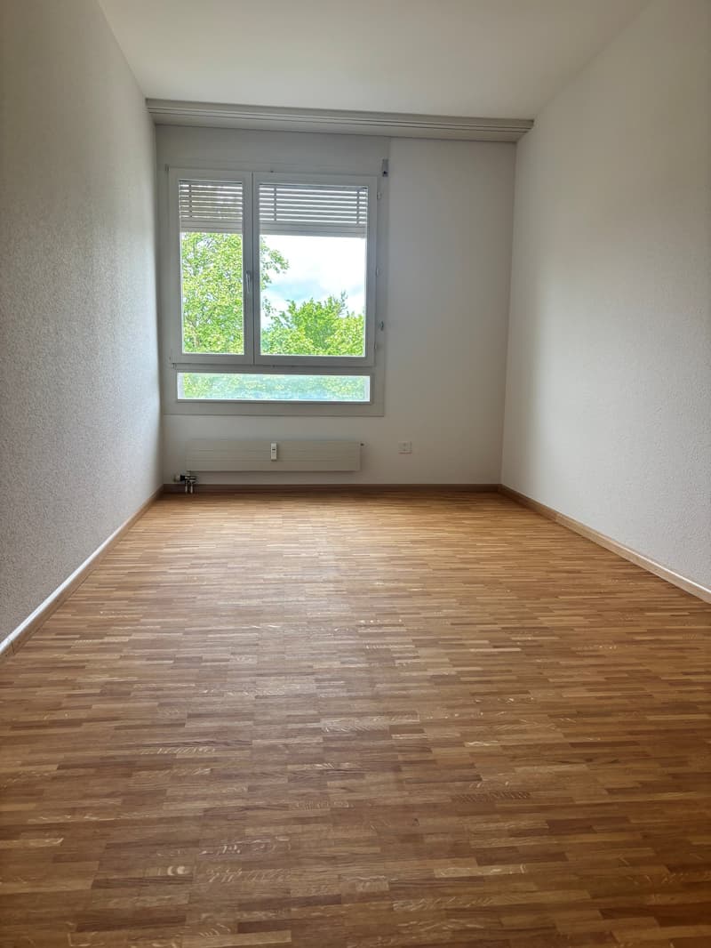 4.5-Zimmer-Wohnung an zentraler Lage zu vermieten (5)