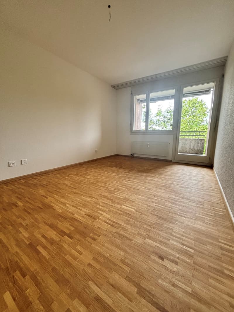 4.5-Zimmer-Wohnung an zentraler Lage zu vermieten (6)