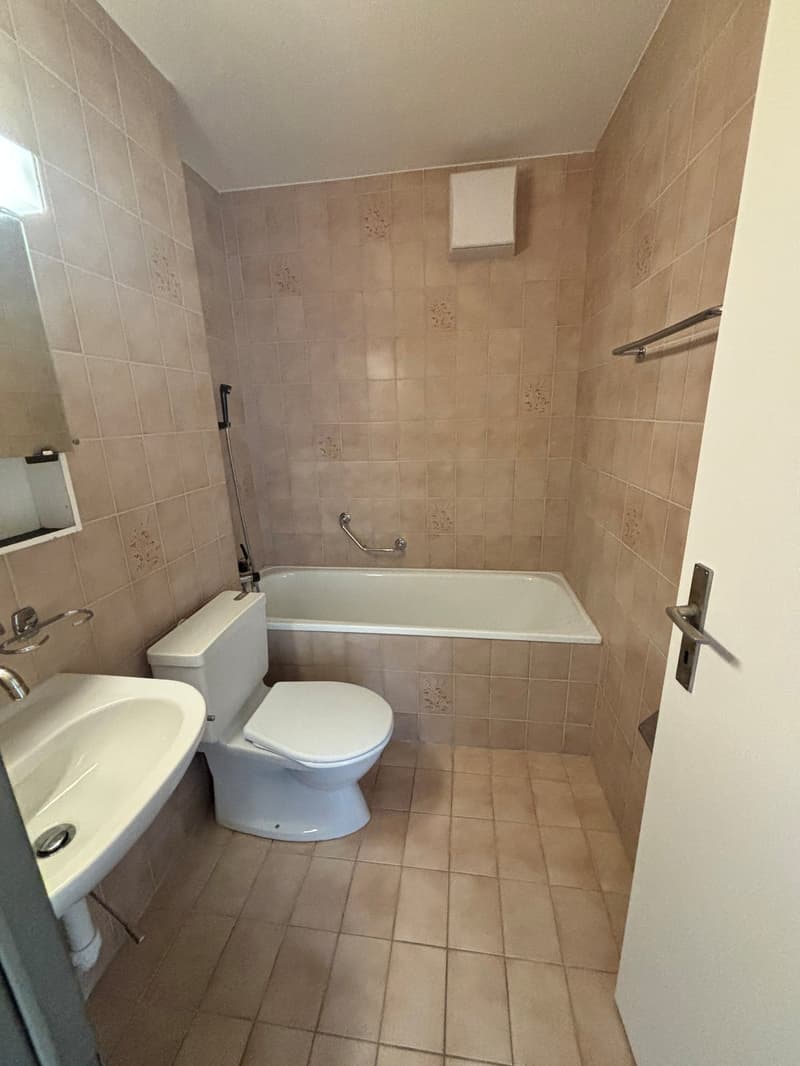 4.5-Zimmer-Wohnung an zentraler Lage zu vermieten (9)
