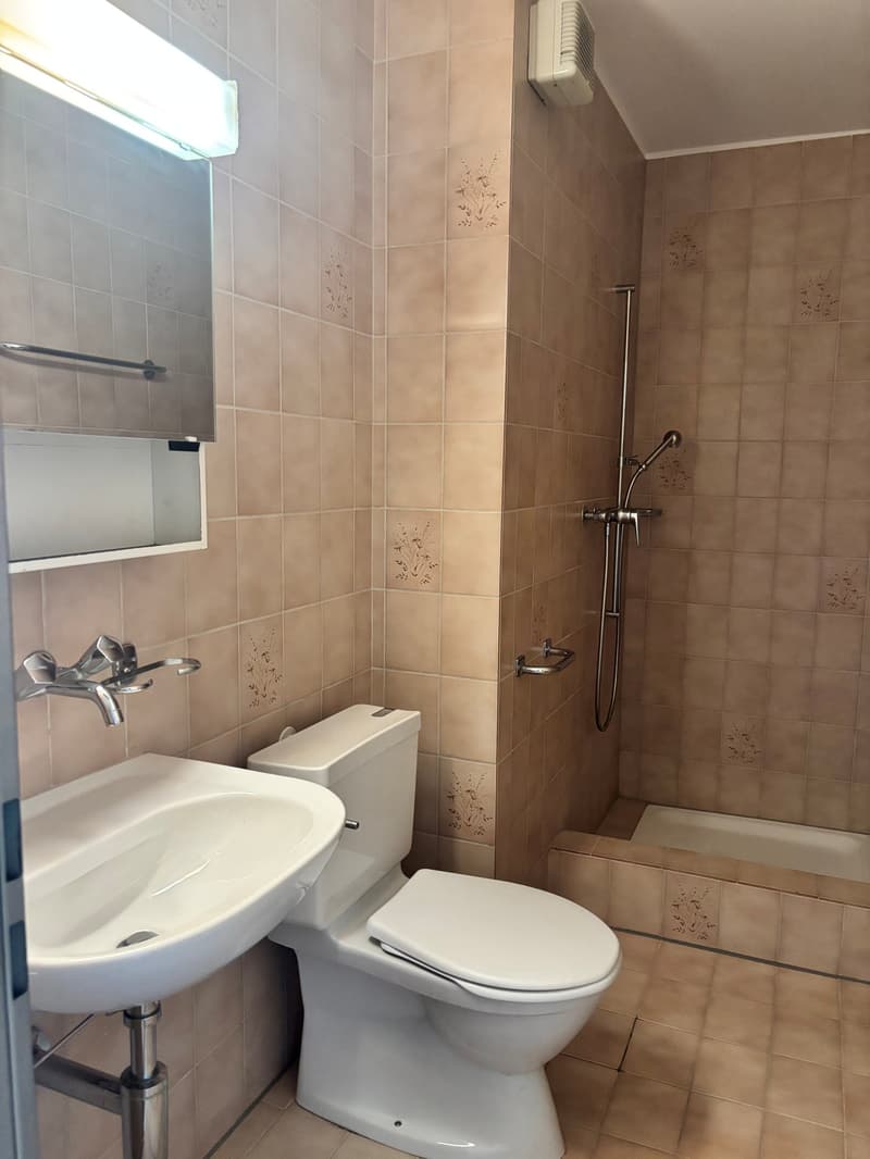 4.5-Zimmer-Wohnung an zentraler Lage zu vermieten (10)