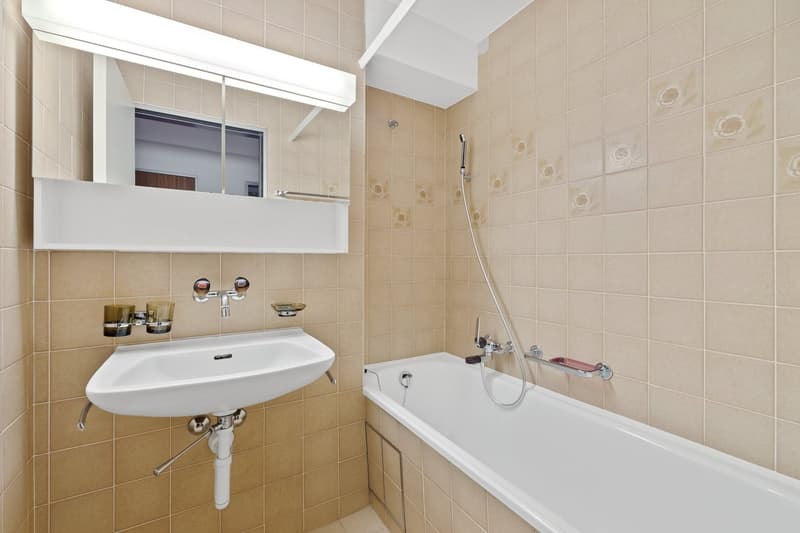 Schöne, helle und grosse 4.5-Zimmerwohnung (7)
