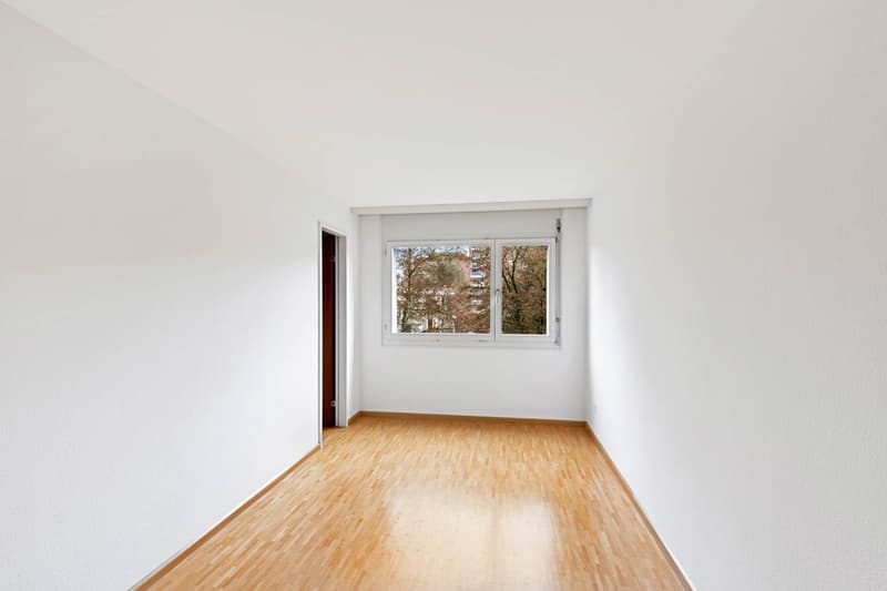 Schöne, helle und grosse 4.5-Zimmerwohnung (8)