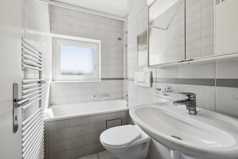 Moderne Single-Wohnung (7)