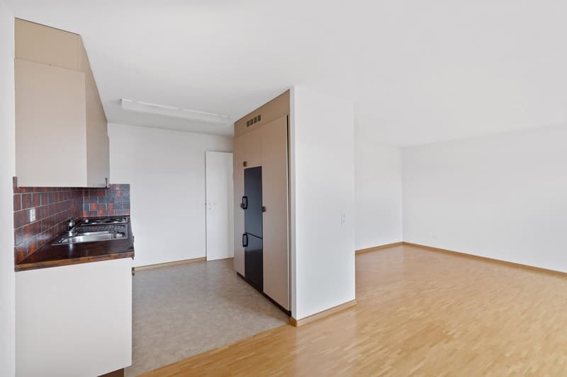 Grosszügigie 2 1/2-Zimmerwohnung (4)