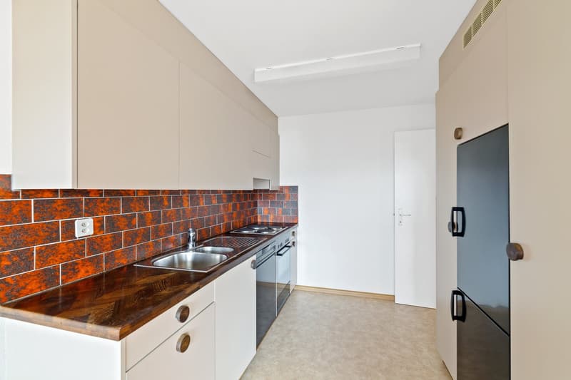 Grosszügigie 2 1/2-Zimmerwohnung (3)