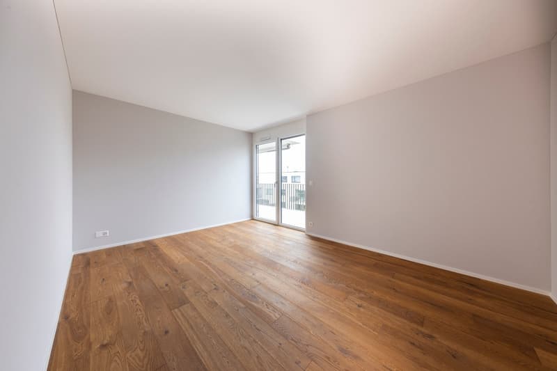 Attikawohnung im ChlyHolz - 6.5 Zimmer mit 453 m2 Nutzfläche - Verkauf ab Plan (13)