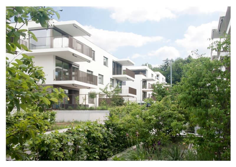 Attikawohnung im ChlyHolz - 6.5 Zimmer mit 453 m2 Nutzfläche - Verkauf ab Plan (15)