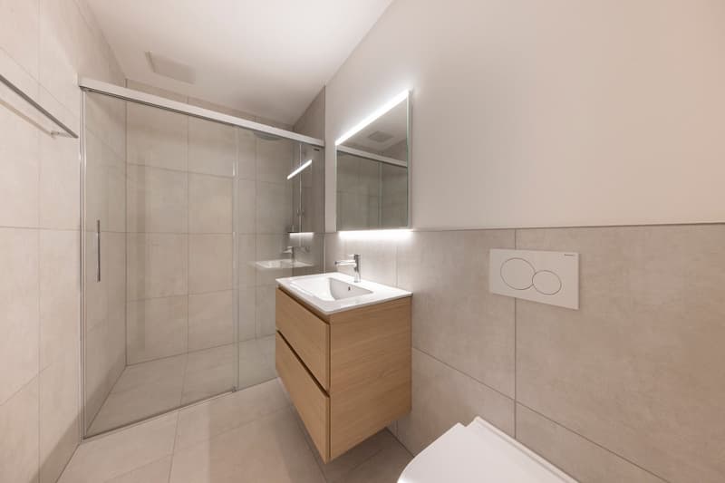 Attikawohnung im ChlyHolz - 5.5 Zimmer Wohntraum - Verkauf ab Plan (9)