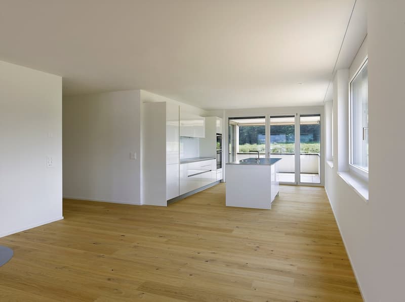 Attikawohnung im ChlyHolz - 5.5 Zimmer Wohntraum - Verkauf ab Plan (4)