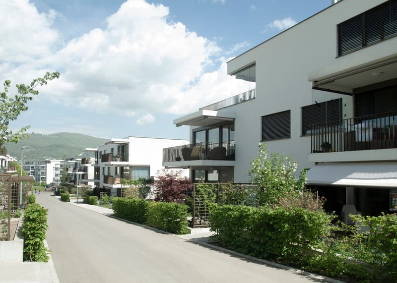 Attikawohnung im ChlyHolz - 5.5 Zimmer Wohntraum - Verkauf ab Plan (17)