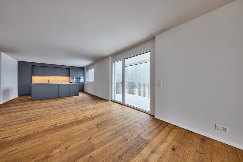 Exklusives Wohnen über den Dächern von Olten – Attika mit 194 m² Terrasse (3)