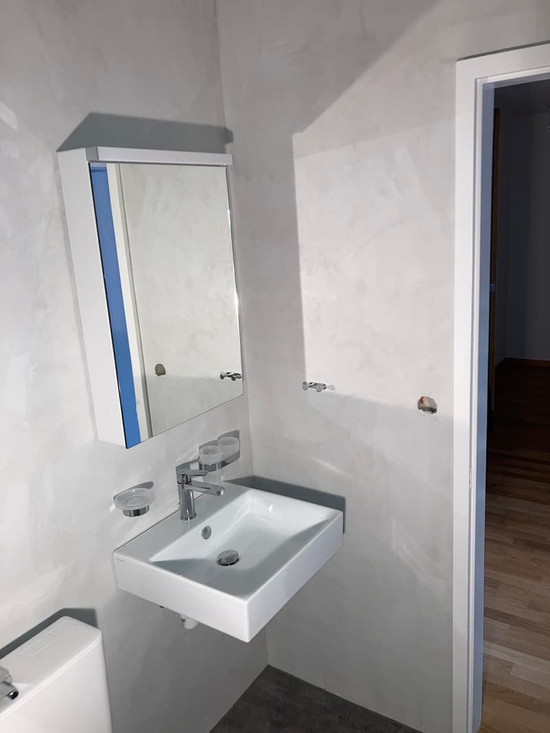 Bathroom with white walls, mirror with a shelf above it, a white sink with a faucet, a toilet, and wooden floor in the hallway