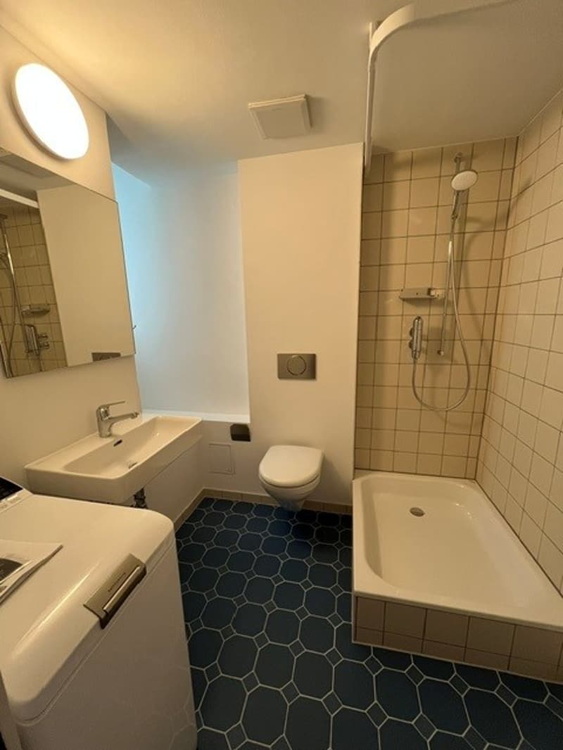 Zu vermieten neu renoviertes Bijou an der Postgasse (4)