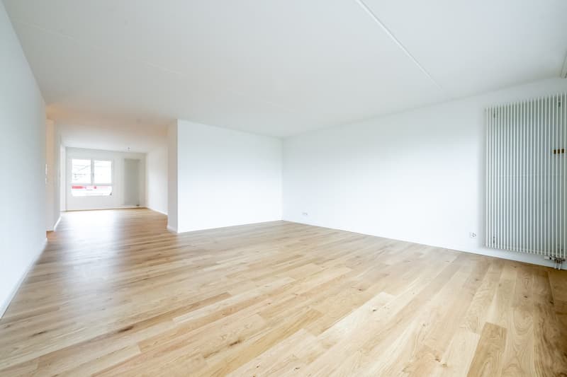 Zu vermieten 5.5-Zimmerwohnung in der Kassematte nach Gesamtsanierung (3)
